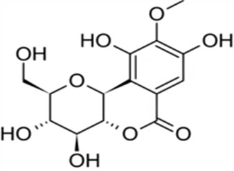 岩白菜素