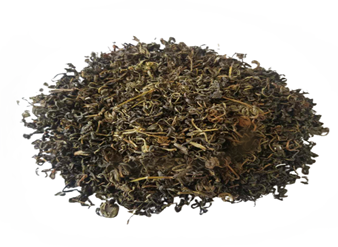 赶黄草提取物, 扯根菜提取物