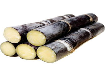 甘蔗提取物，甘蔗多酚，竹蔗多酚