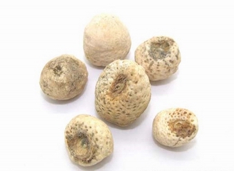 半夏提取物