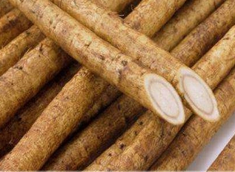 牛蒡根提取物