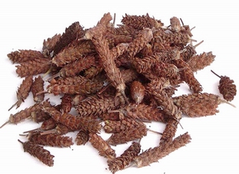 夏枯草提取物