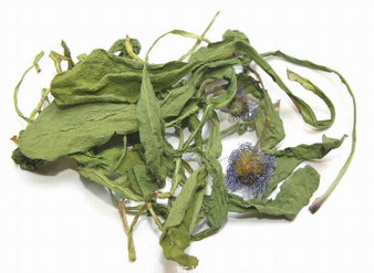 灯盏花提取物