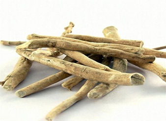 南非醉茄提取物，睡茄提取物，印度人参提取物