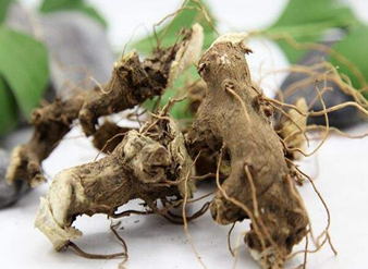 穿地龙提取物，穿龙薯蓣提取物